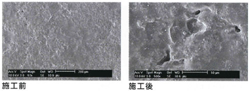 SKIP LIGHT alt=SKIP LIGHT src=images/max/products/skip5.jpg